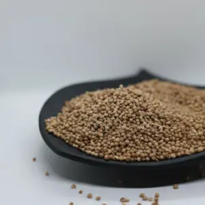 كسبرة بلدي حصا 100 جرام