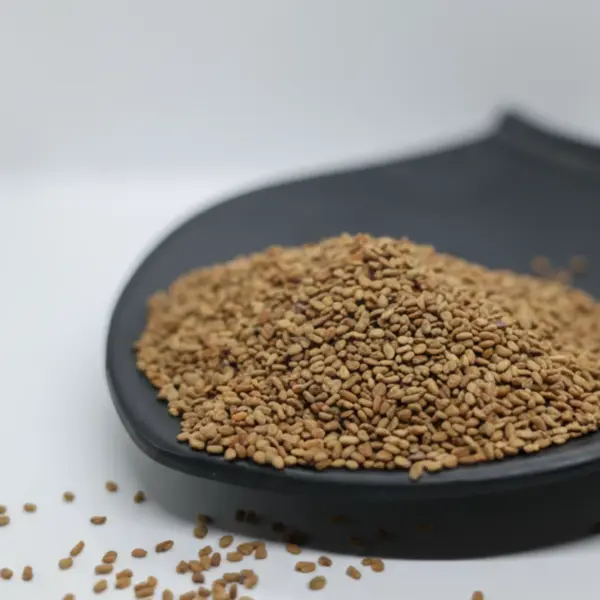 whole-fenugreek-seeds.webp